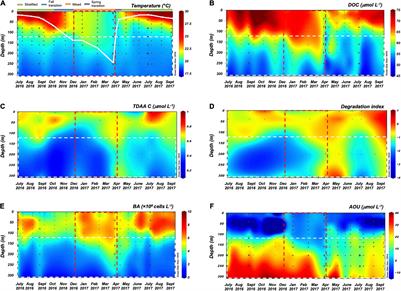 Linkages Among Dissolved Organic Matter Export, Dissolved Metabolites, and Associated Microbial Community Structure Response in the Northwestern Sargasso Sea on a Seasonal Scale